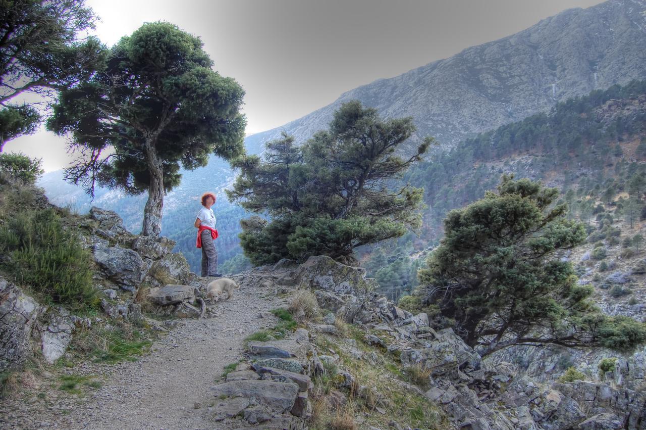 La Ermita De Los Llanos Arenas de San Pedro Ngoại thất bức ảnh